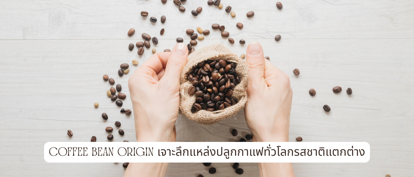 Coffee Bean Origin เจาะลึกแหล่งปลูกกาแฟทั่วโลกรสชาติแตกต่าง
